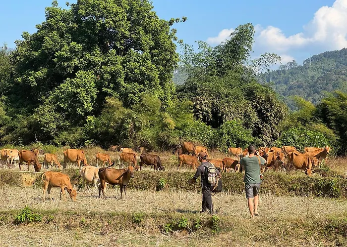 Riverside Boutique Resort, Vang Vieng